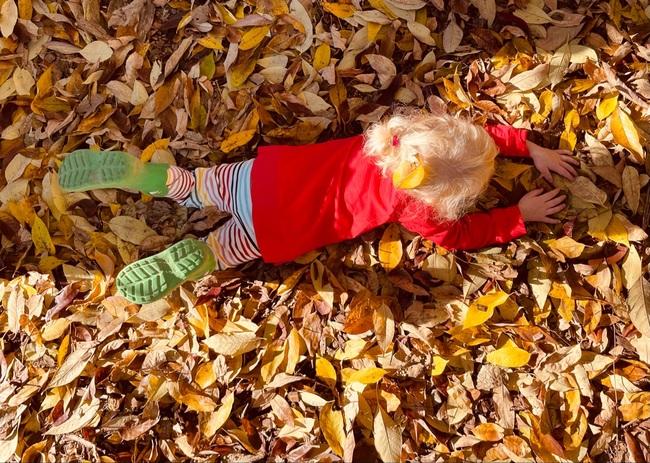 Child playing in leaves